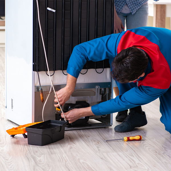 what are the common refrigerator repair services in Rhodes